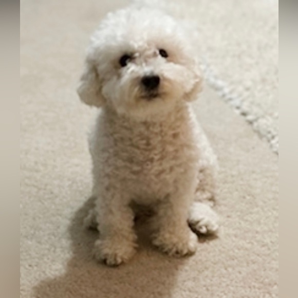 Live Show! Low Starts All Sizes!! New Inventory and Bags!! Giveaways! - Picture 5 of 7